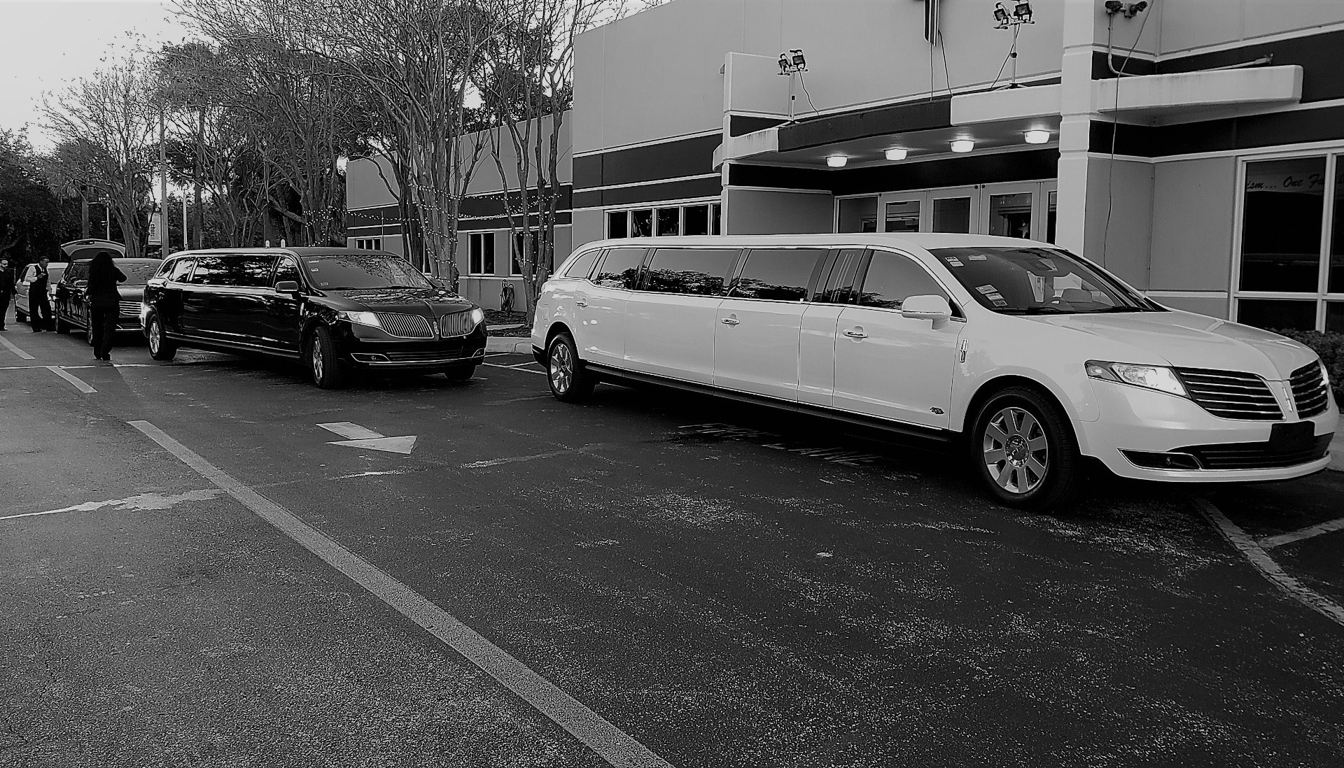 Home Black Pearl Limousine